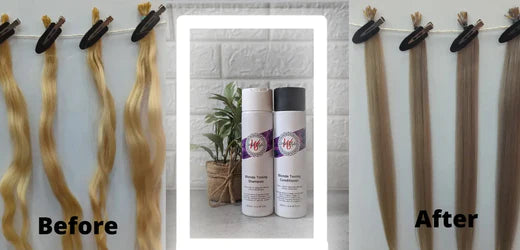 Blonde Toning Combo 250ml Wilde Style Products